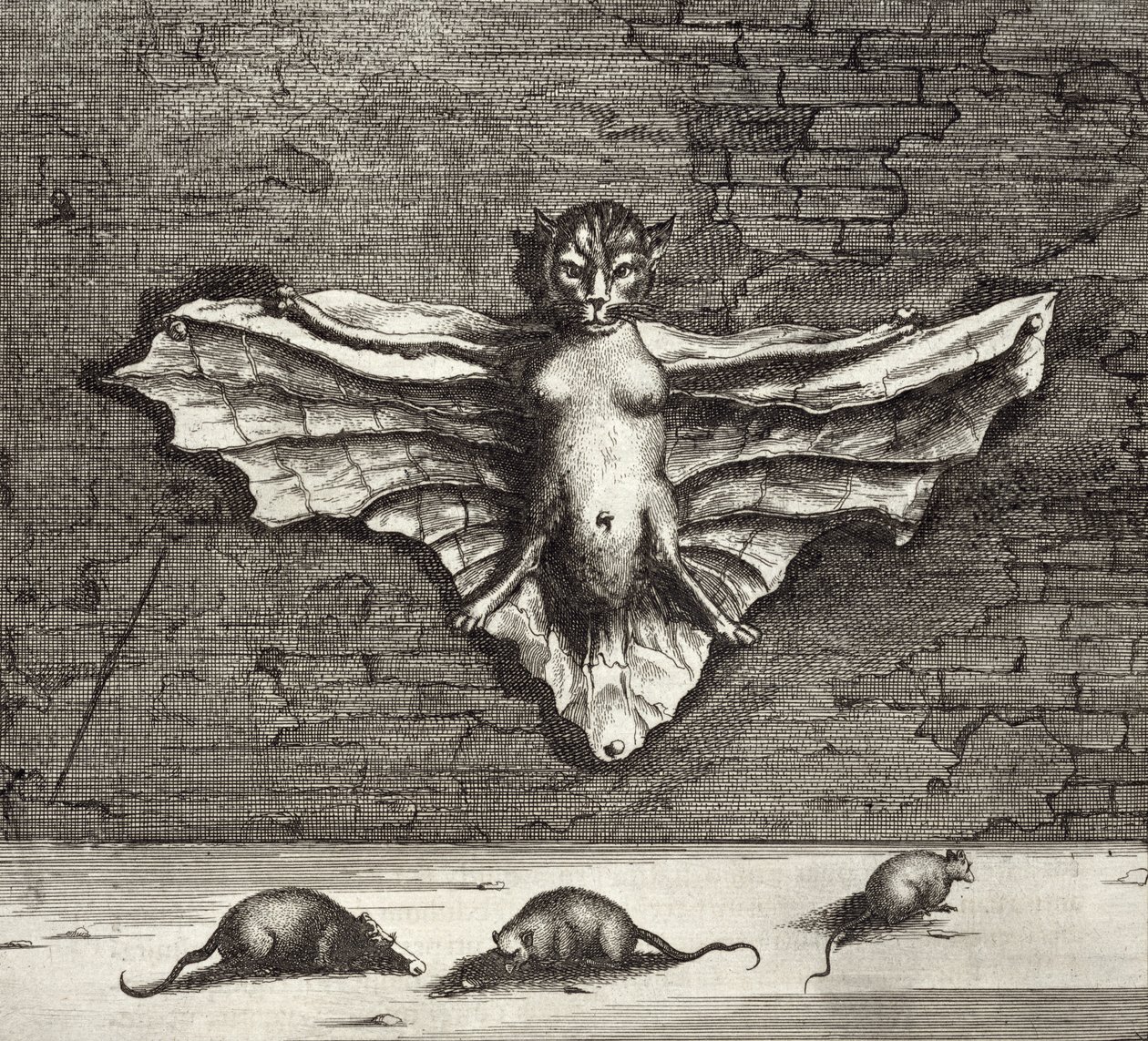 Athanasius Kircher (1601-80) 1667 tarafından resimlenen Çin