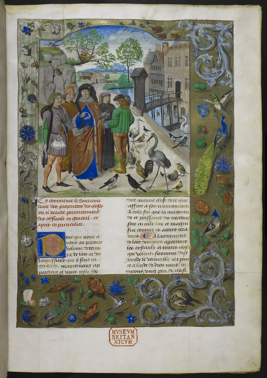 Bartholomaeus Angelicus, Fransızca