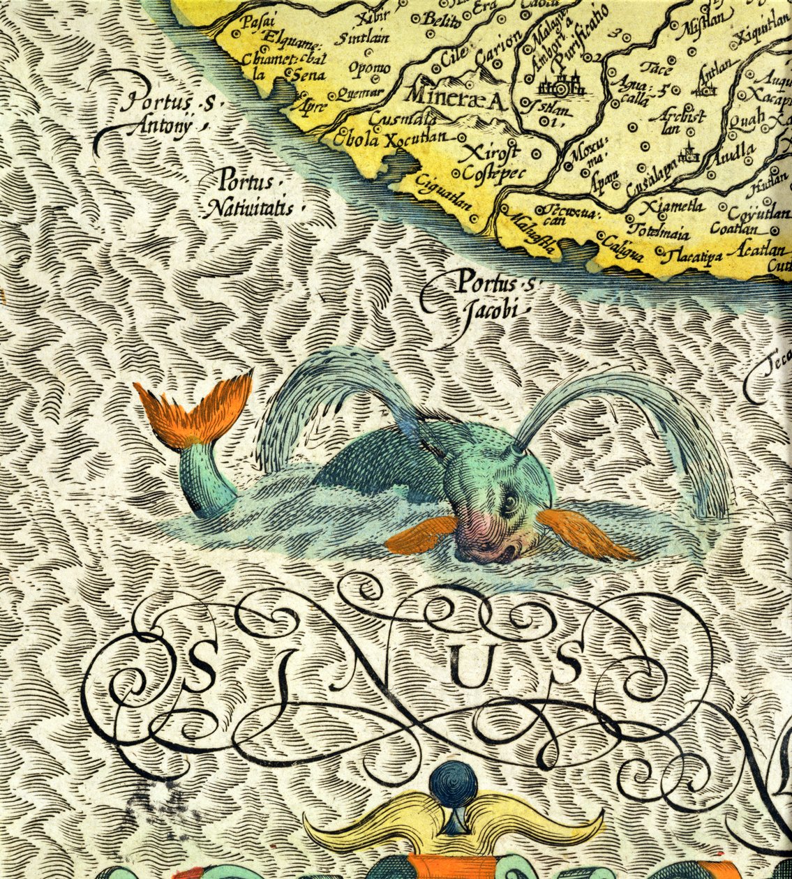 C.3.c.8 Deniz canavarı, Mercator