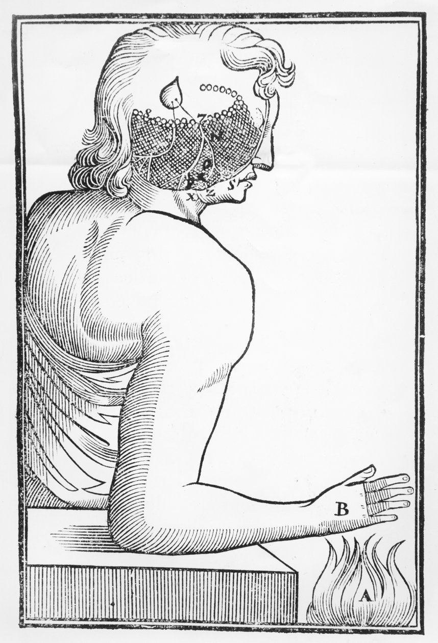 Elsevier tarafından Amsterdam