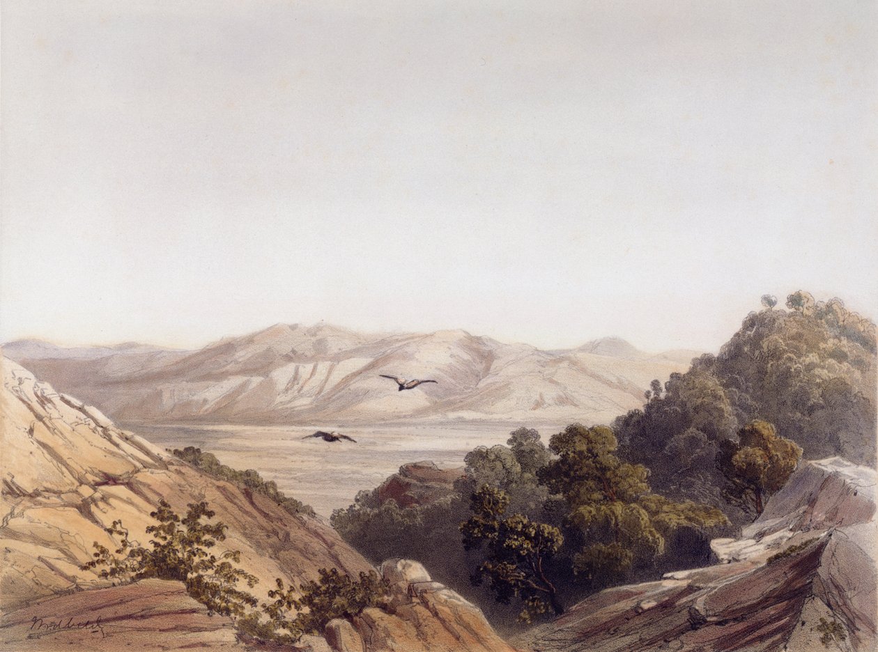 Carmel Dağı, İsrail, L. A Sabatier tarafından oyulmuş by Dutch School