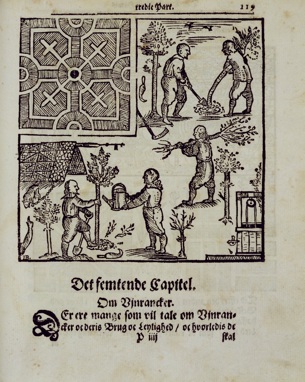 Johann van der Groen