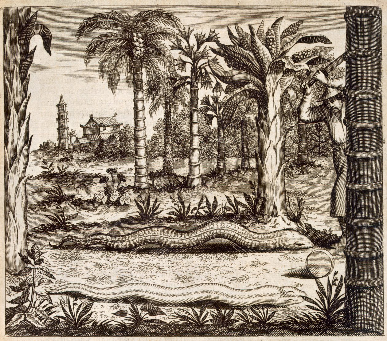 Athanasius Kircher (1601-80) 1667 Tarafından Resimlenen Çin
