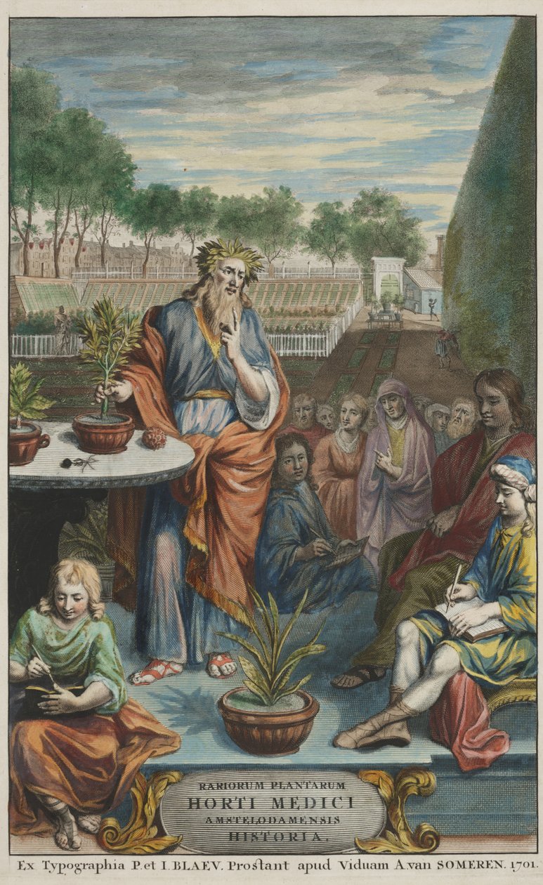  by Dutch School