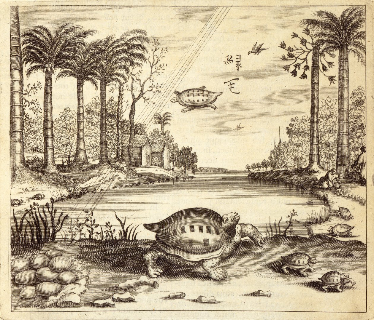 Athanasius Kircher (1601-80) 1667 tarafından resimlenen Çin