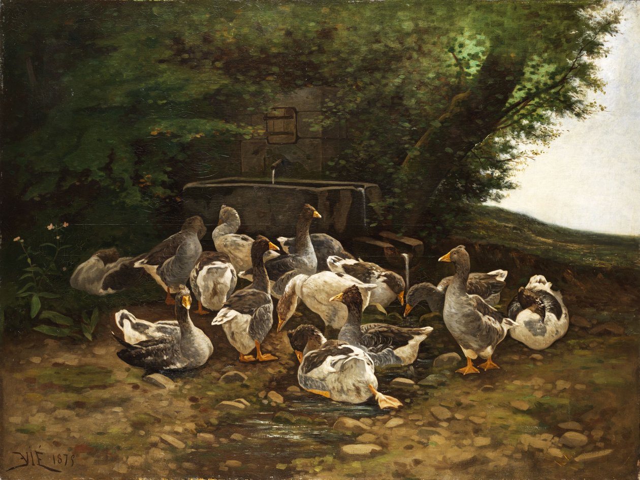 Taş çeşmede gri kazlar by E. Vié