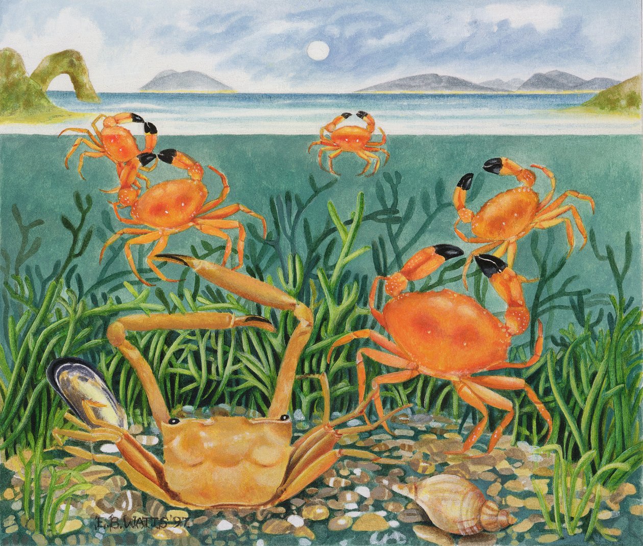 Okyanustaki Yengeçler, 1997 (kağıt üzerinde akrilik) by E.B. Watts