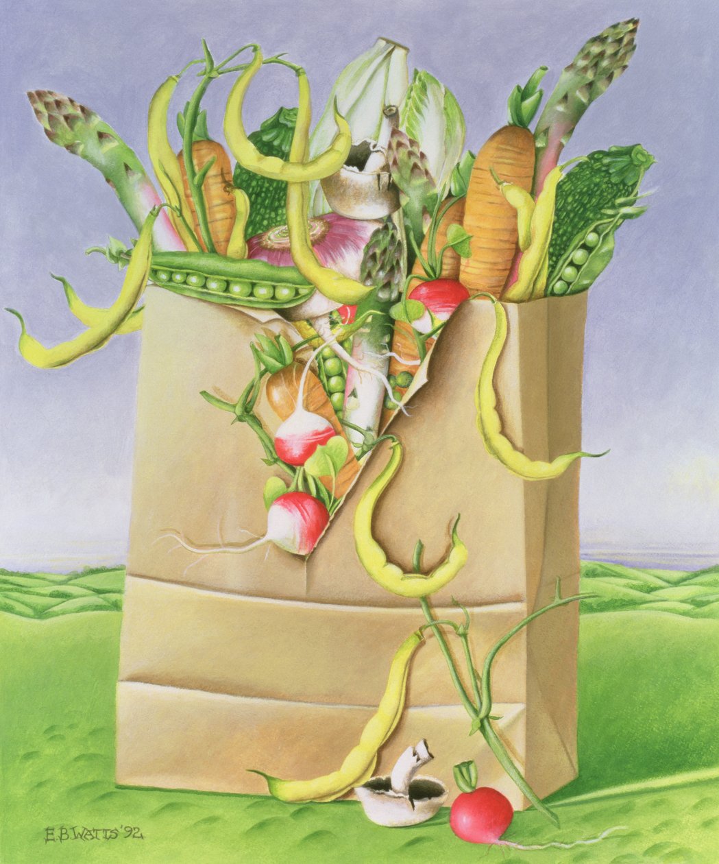 Sebzeli Kağıt Torba, 1992 (akrilik) by E.B. Watts
