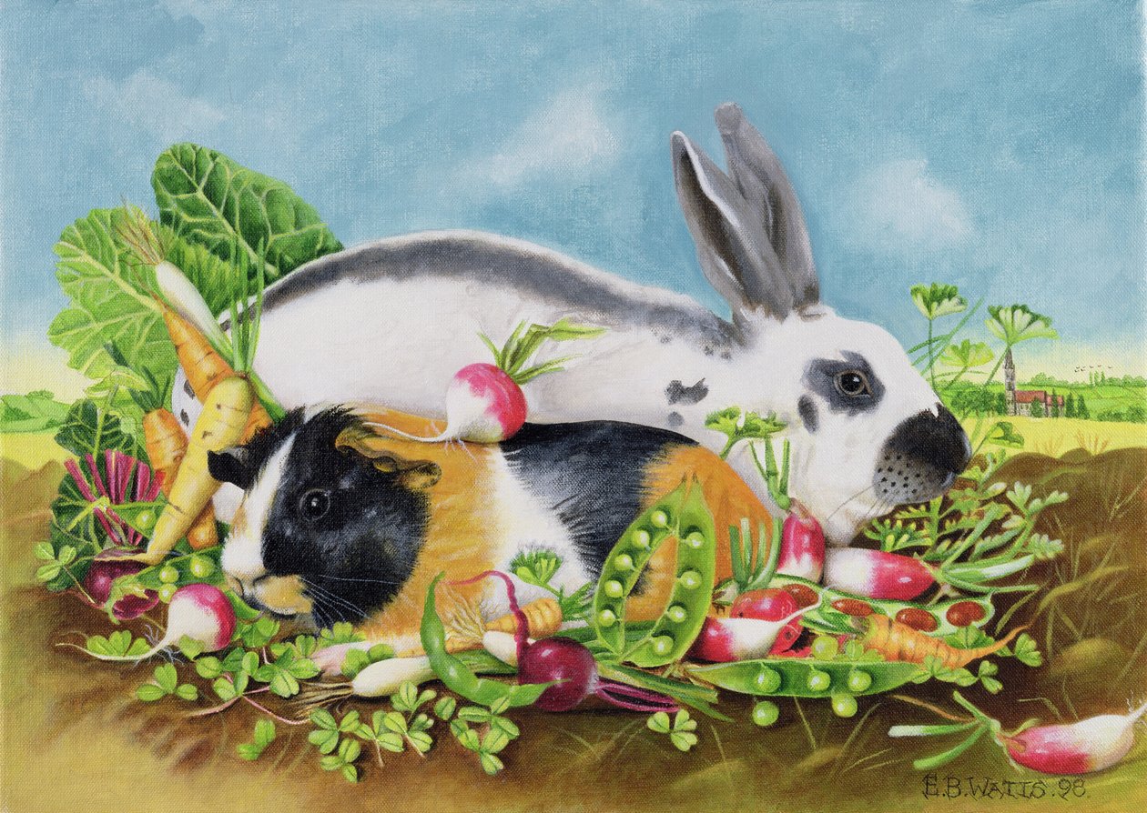 Tavşan ve Kobay, 1998 (tuval üzerine akrilik) by E.B. Watts