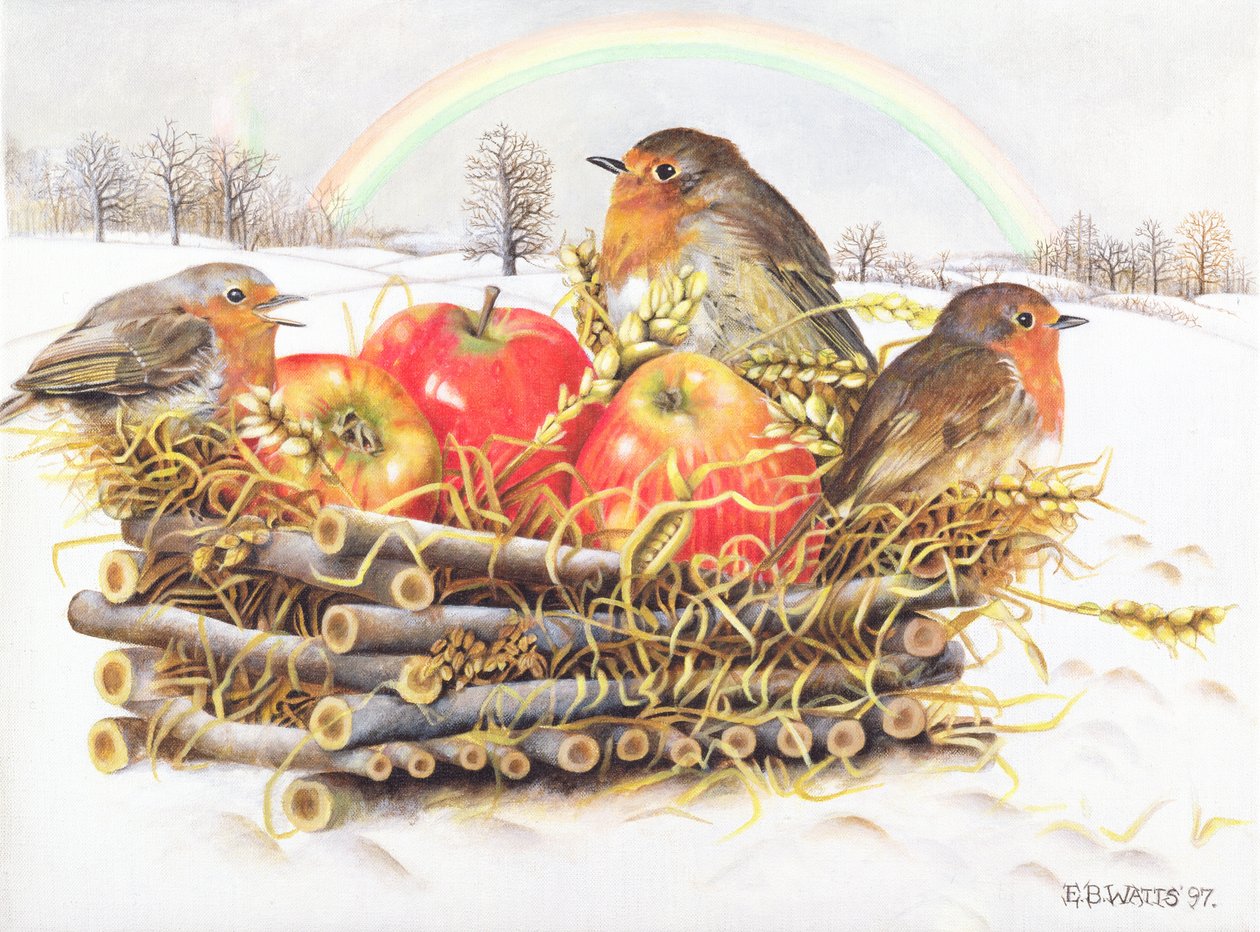 Elmalı Robins, 1997 (tuval üzerine akrilik) by E.B. Watts
