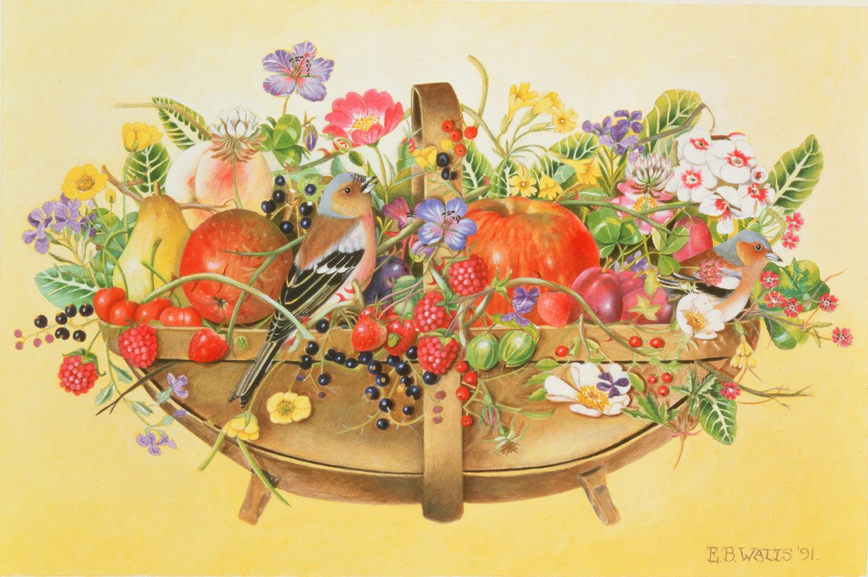 Meyveli, Çiçekli ve İspinozlu Trug, 1991 (akrilik) by E.B. Watts