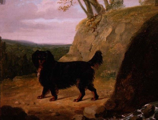 Manzarada Bir Cocker Spaniel by E.W. Gill