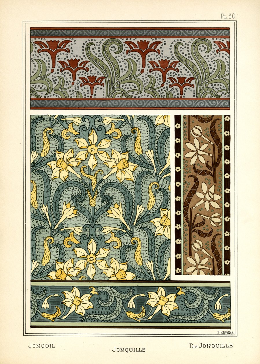 Jonquil by E. Hervegh