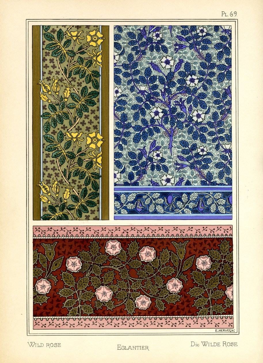 Yabani Gül by E. Hervegh