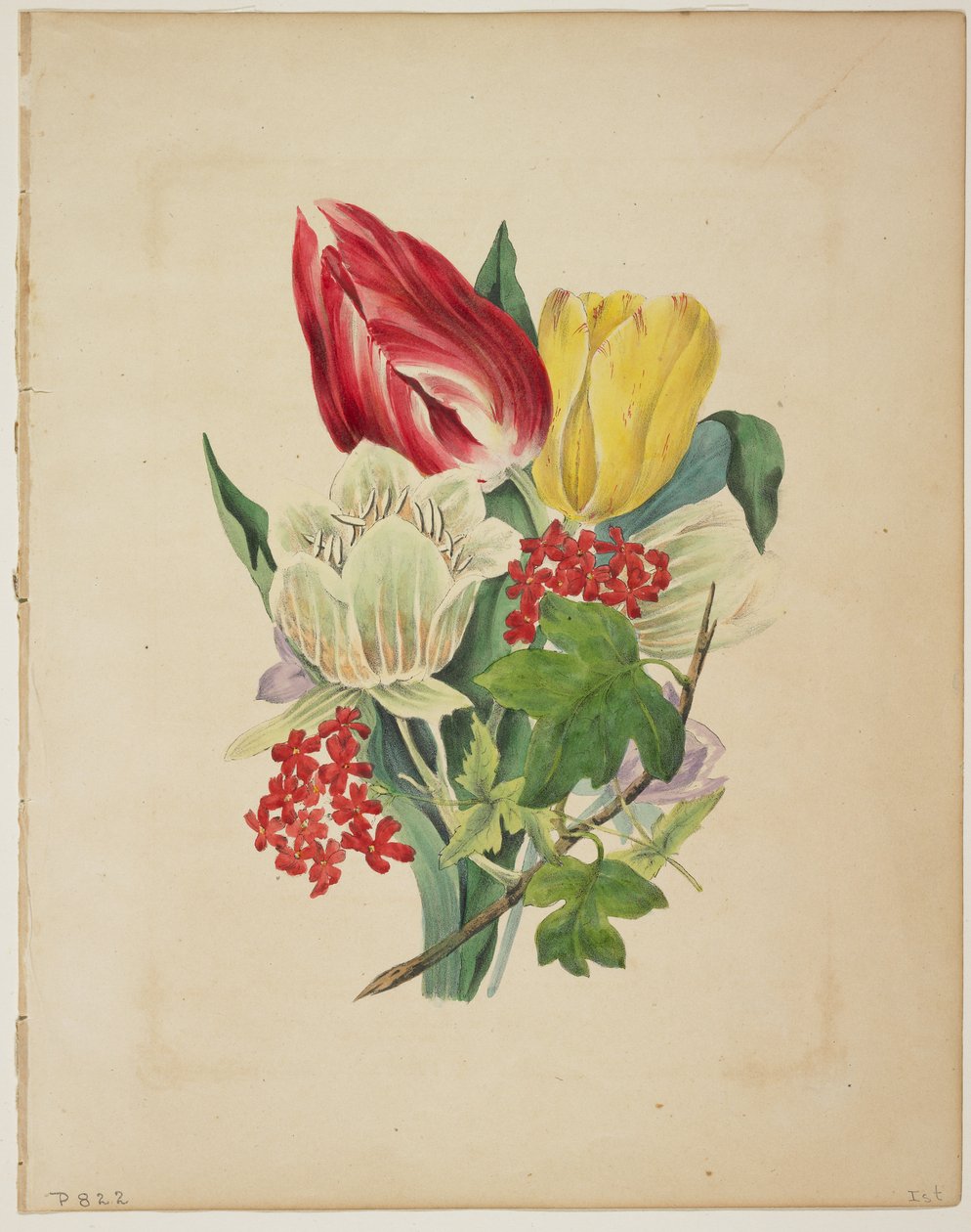 Lale Buketi, Flora'nın Sözlüğünden, 1838 by E. W. Wirt