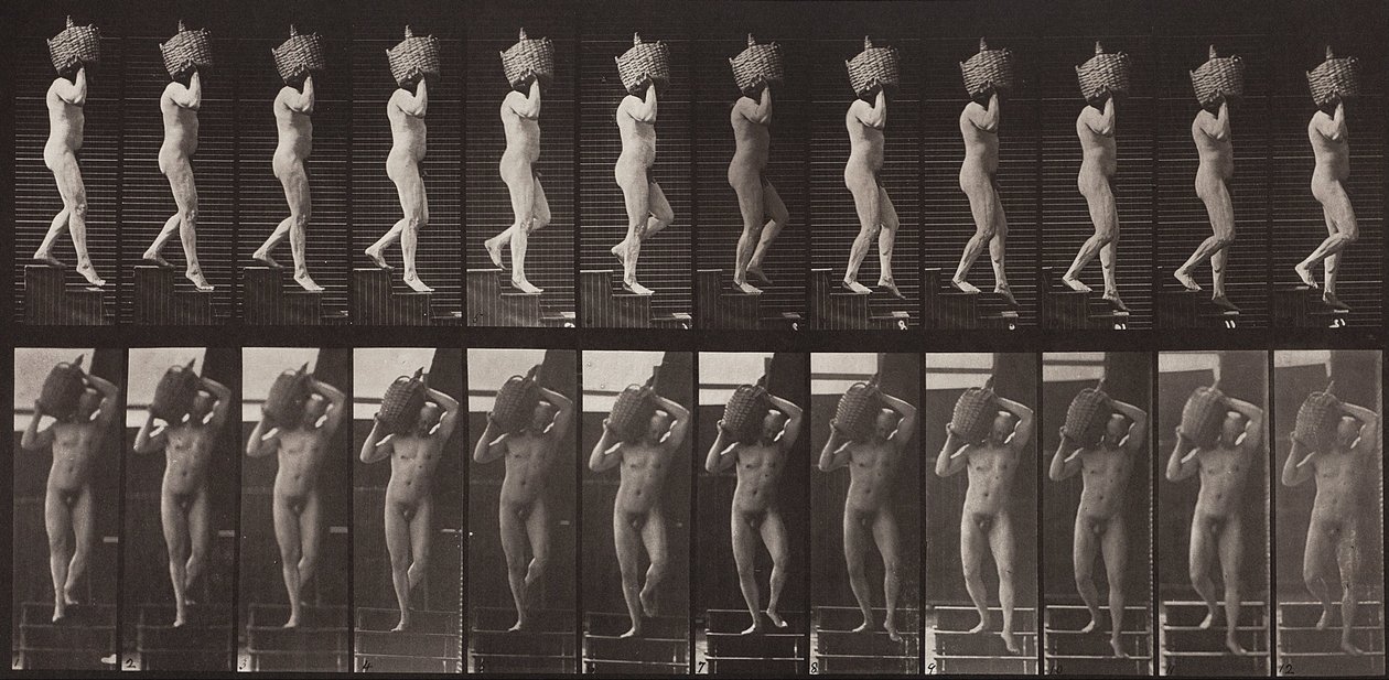Hayvan Hareketi, Plaka 136 by Eadweard Muybridge