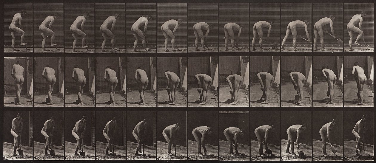 Hayvan Hareketi, Plaka 388 by Eadweard Muybridge