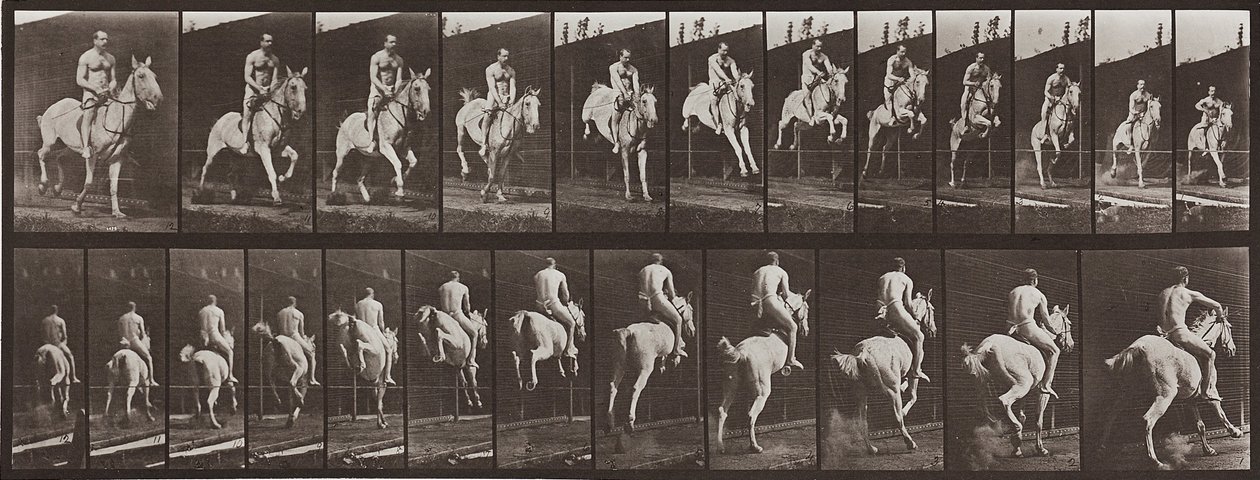 Hayvan Hareketi, Plaka 646 by Eadweard Muybridge