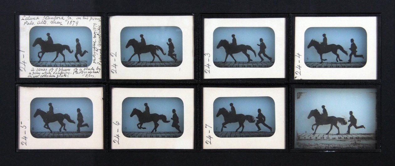 Leland Stanford Jr., Midilli Çingenesinde by Eadweard Muybridge