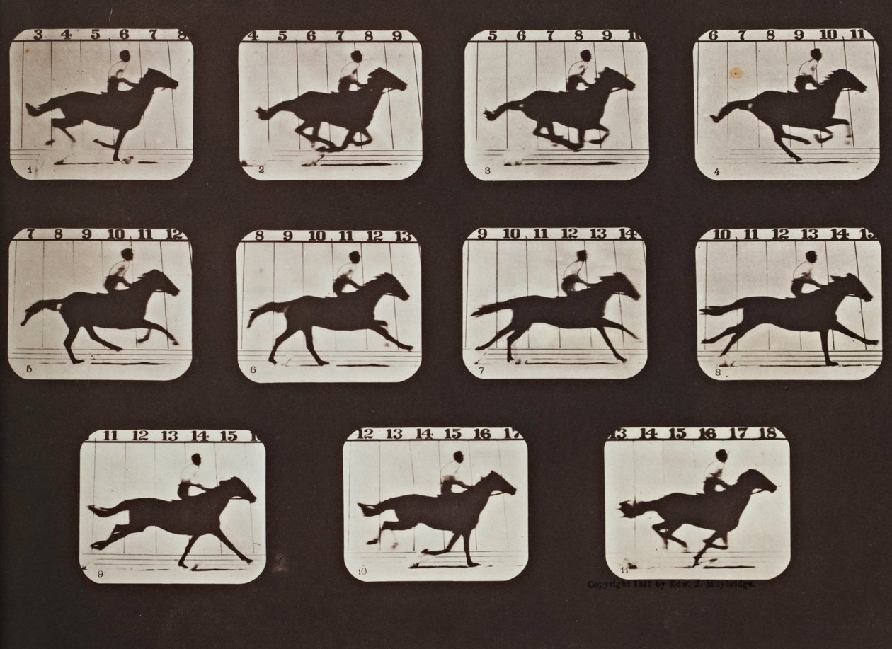 Sallie Gardner Hareket Halindeki Hayvanların Tutumlarından Kaçıyor by Eadweard Muybridge
