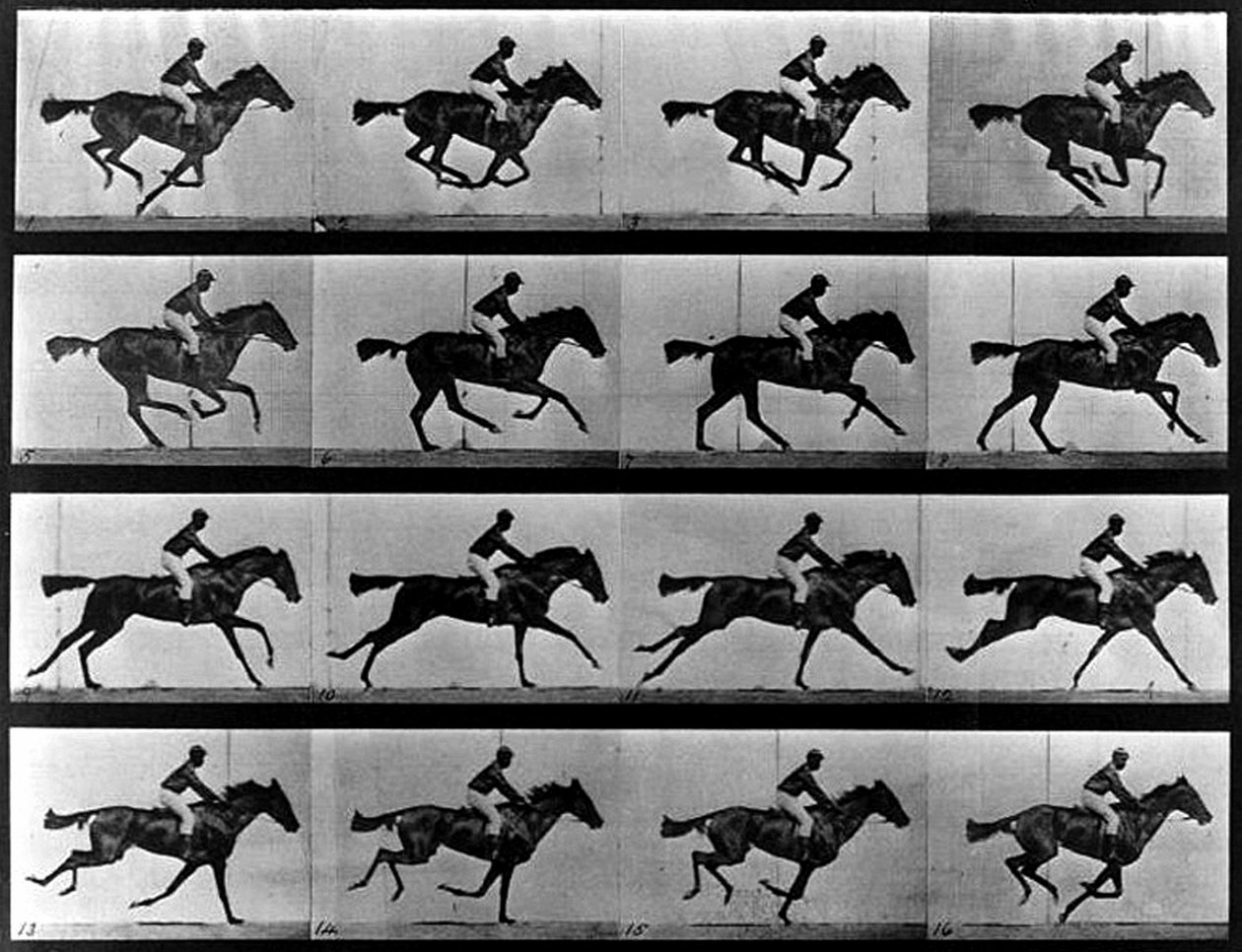 Bir dizi fotoğrafı by Eadweard Muybridge