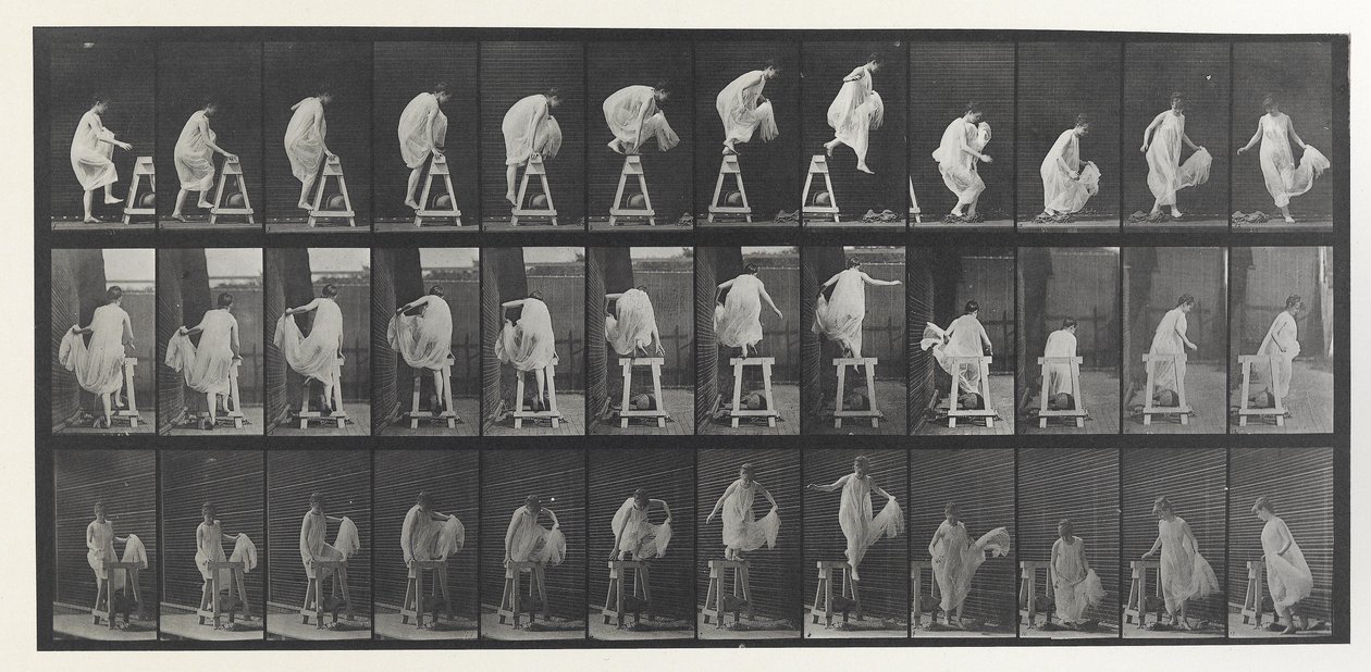 Hayvan Hareket Plakası by Eadweard Muybridge
