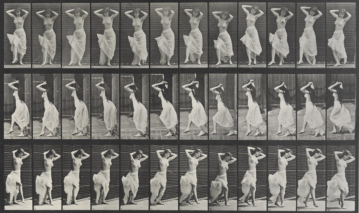 Hayvan Hareket Plakası 190 by Eadweard Muybridge