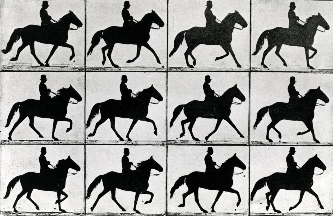 One Stride in Eleven Phases, 1881, illustration from 