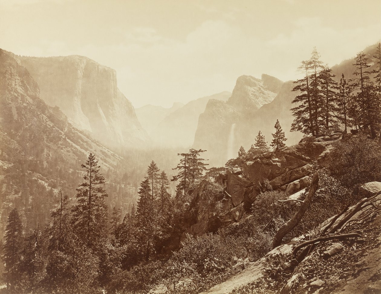 Yosemite Vadisi (hafif kayadan sabah erken), 1872 (mamut levha albümen baskı) by Eadweard Muybridge