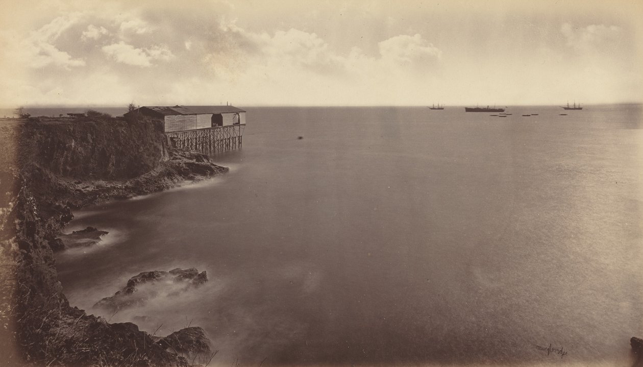Acajutla, 1877. by Eadweard Muybridge