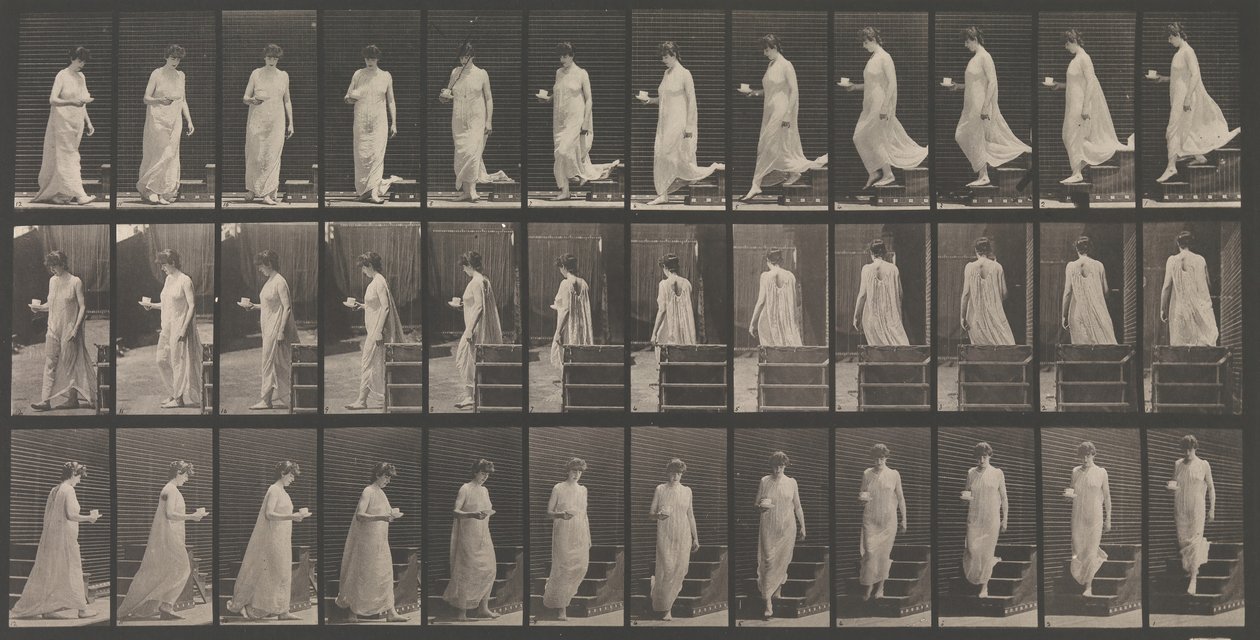 Hayvan Hareketi. Hayvan Hareketlerinin Elektro-Fotoğrafik İncelemesi... Başla..., 1880