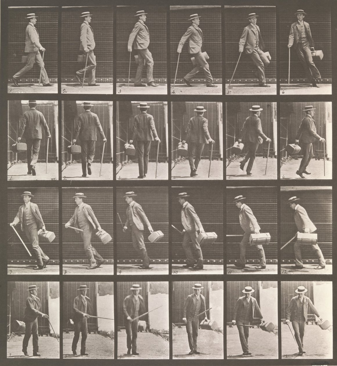 Hayvan Hareketi. Hayvan Hareketlerinin Elektro-Fotoğrafik İncelemesi... Başla..., 1880