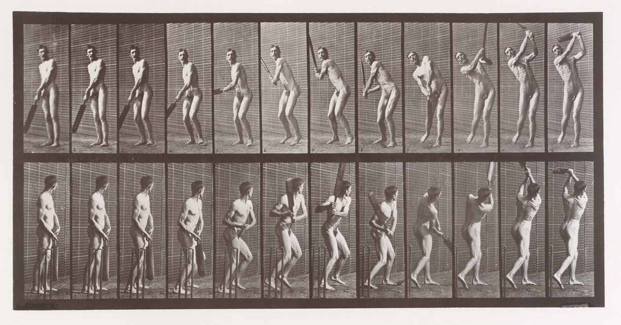 Hayvan Hareketi. Hayvanların Ardışık Evrelerinin Elektro-Fotoğrafik Olarak İncelenmesi ..., 1880