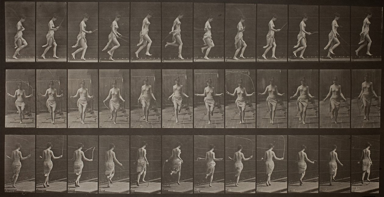Hayvan Hareketi, Levha 174, 1887. by Eadweard Muybridge