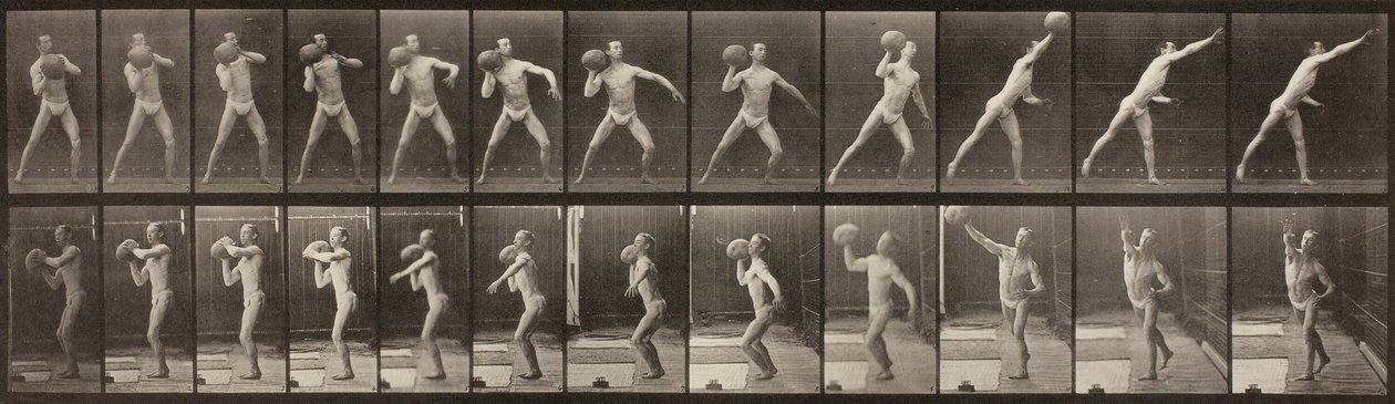 Hayvan Hareketi, Levha 319, 1887. by Eadweard Muybridge