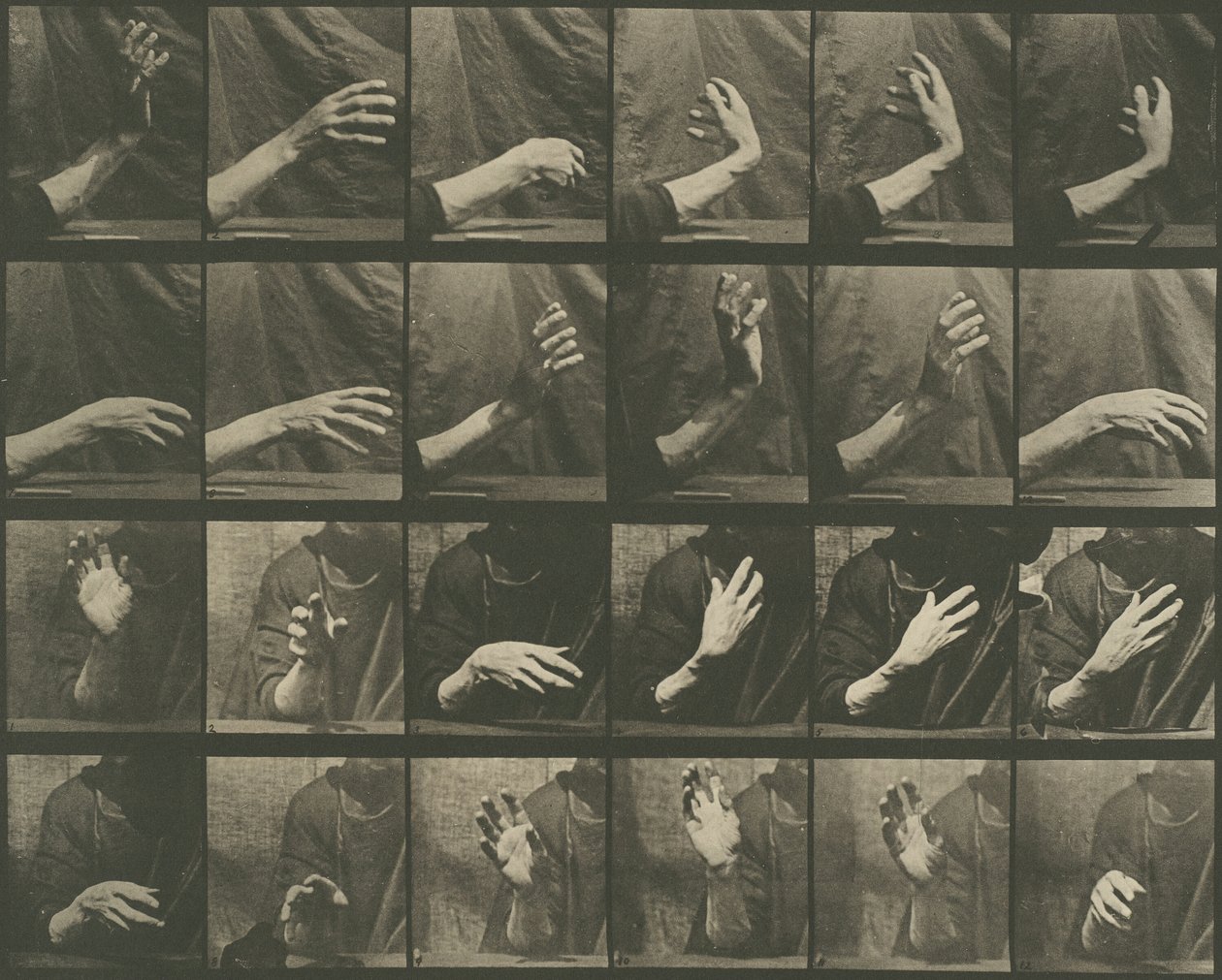 Hayvan Hareketi, Levha 535, 1887. by Eadweard Muybridge