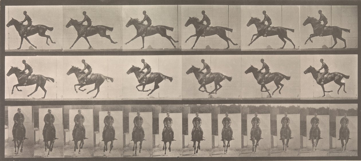 [At ve Binici Dörtnala Gidiyor], 1883-86, 1887 basılmış. by Eadweard Muybridge