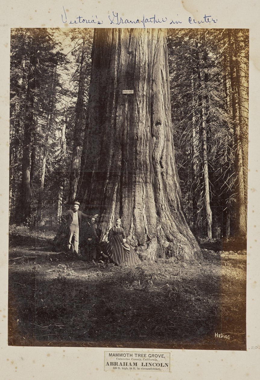  by Eadweard J. Muybridge