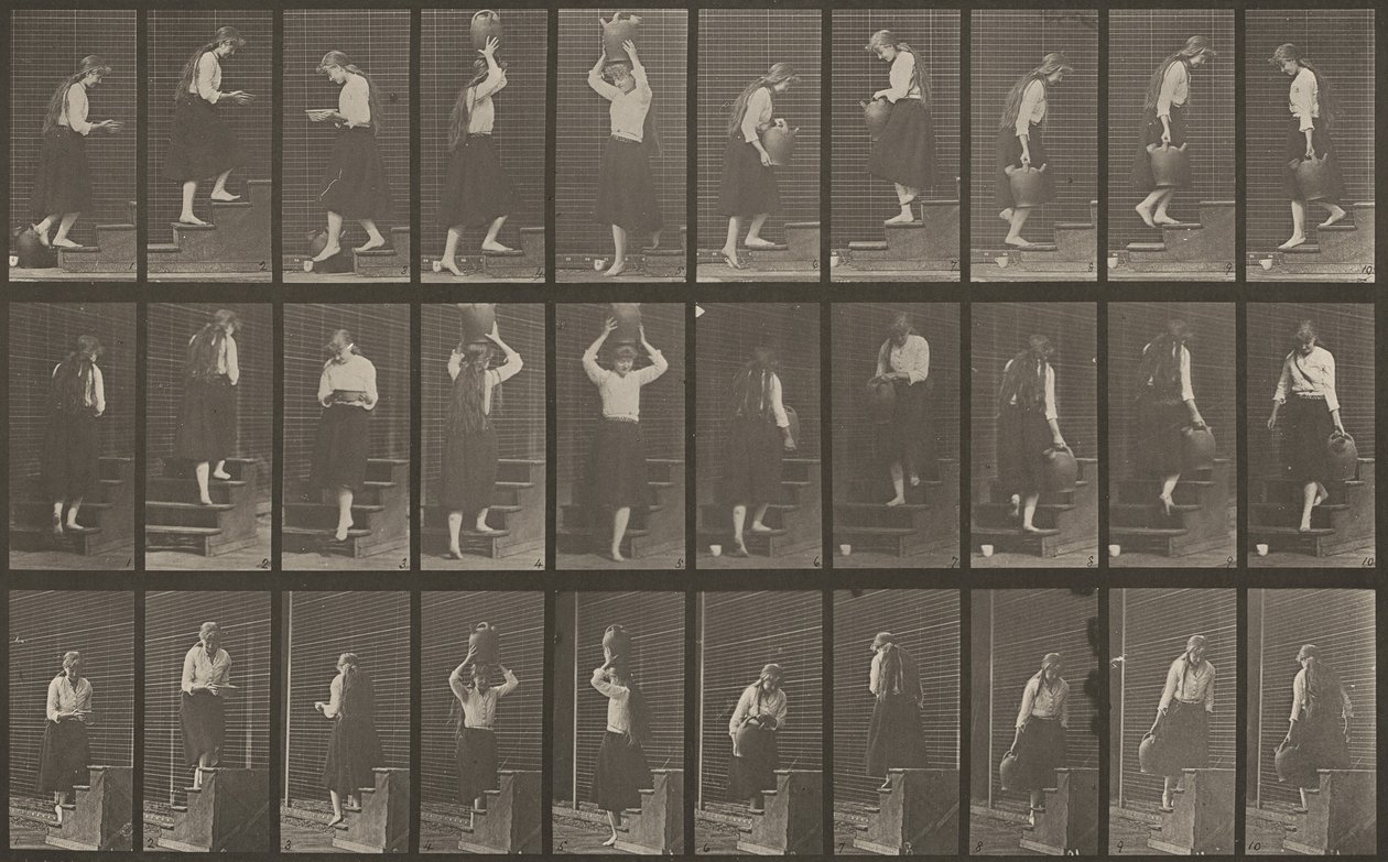 Plaka Numarası 504. Çıkan ve inen merdivenler, 1887. by Eadweard Muybridge