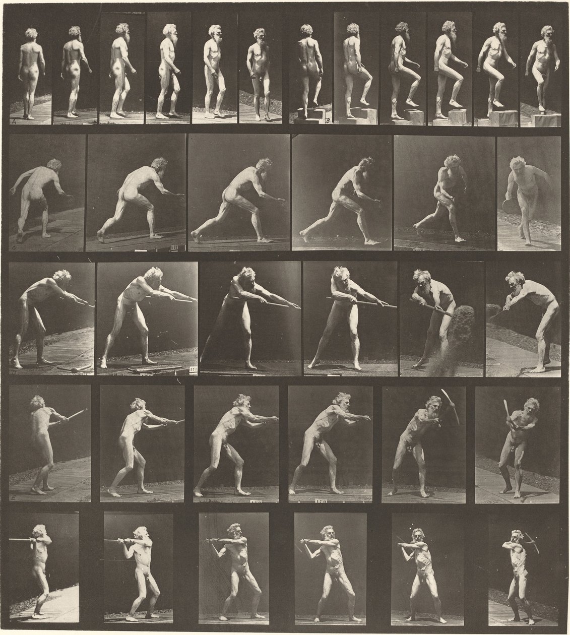 Plaka Numarası 521. A: Yürüyüş. B: Yükselen adım. C. Disk atma. D: Kürek kullanma..., 1887. by Eadweard Muybridge