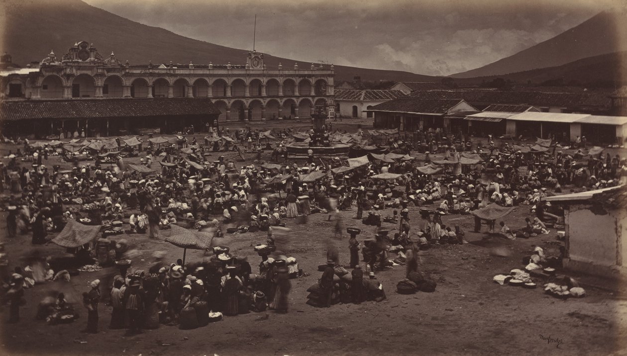 Plaza ve Viceroy