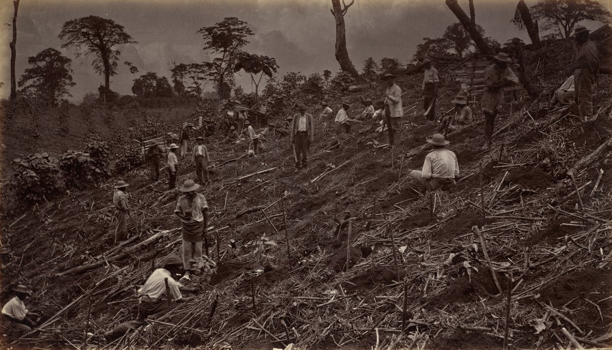 Antigua de Guatemala