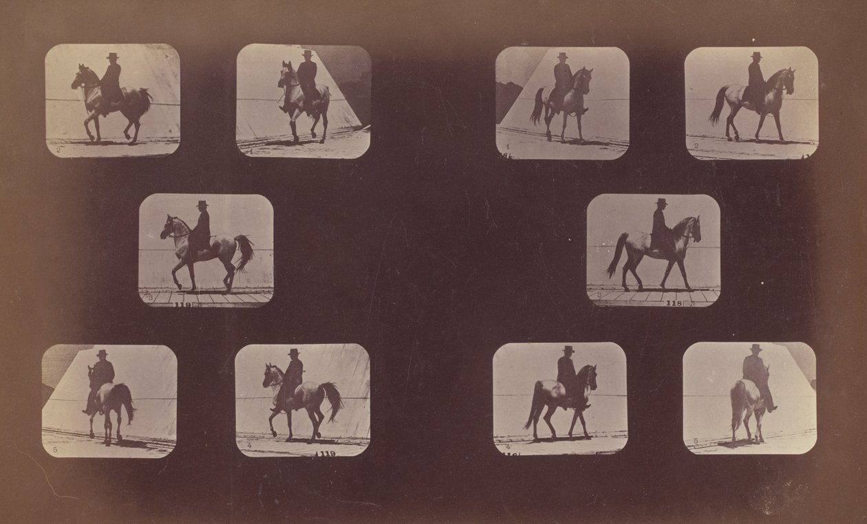 Kısaltma Çalışmaları. Atlar. Yürüme. Muhammed. 119-120, 1879. by Eadweard Muybridge