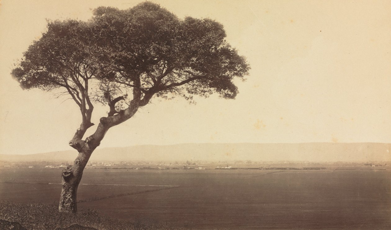 Watsonville, California yakınlarındaki İsimsiz Manzara, c. 1879. by Eadweard Muybridge