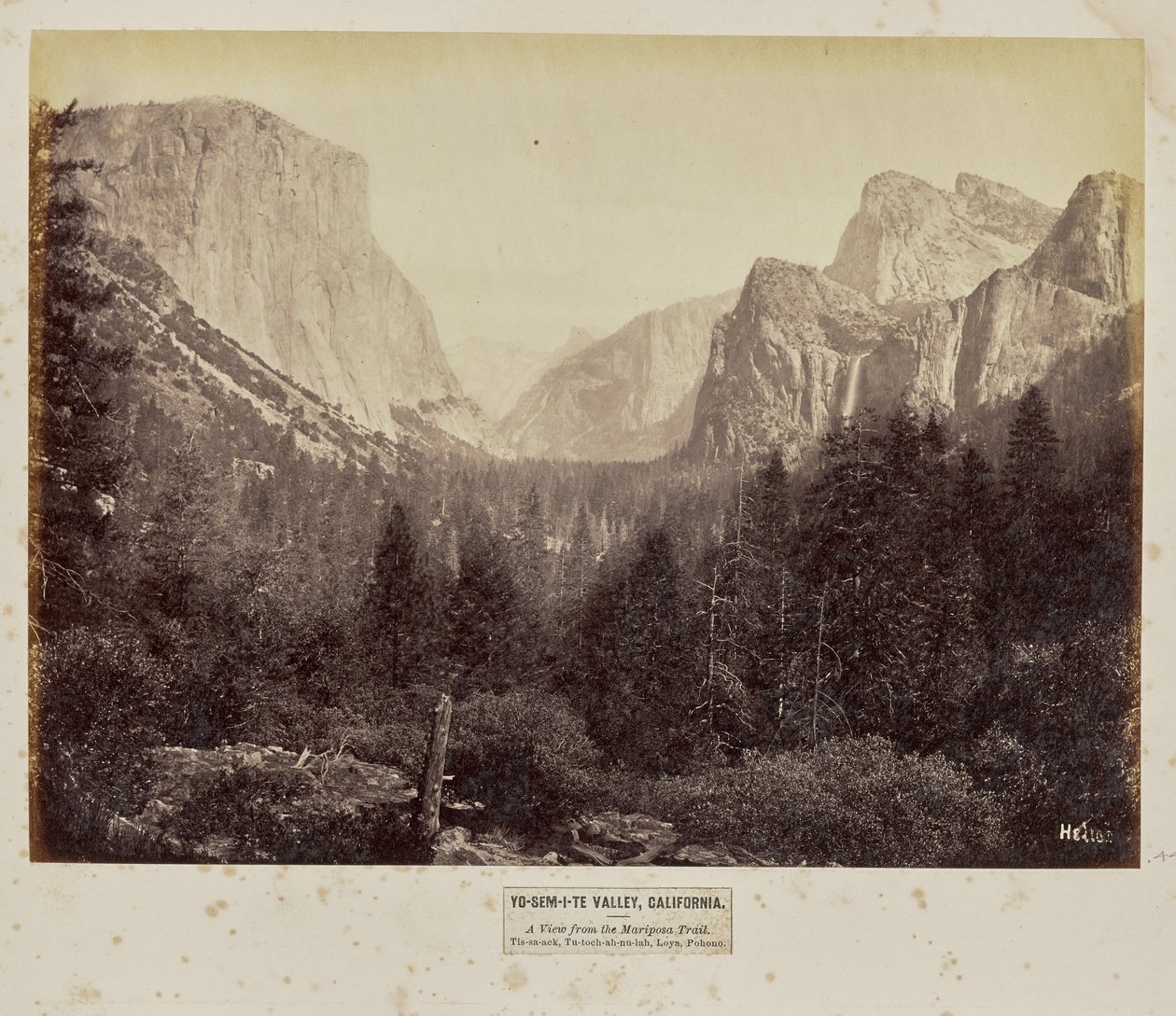  by Eadweard J. Muybridge