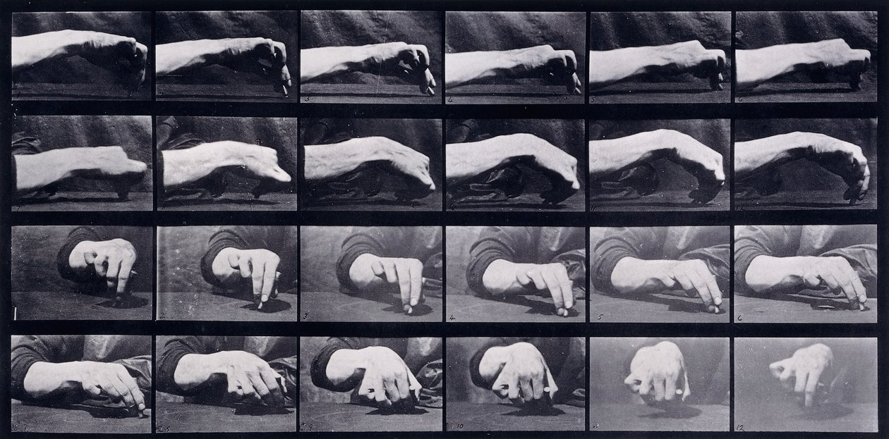Bir Elin Hareket Etüdü, c.1872-1885 by Eadweard Muybridge