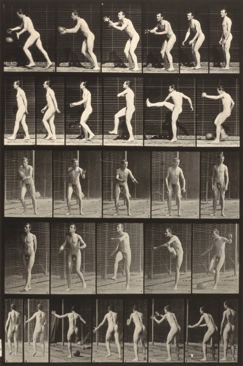  by Eadweard Muybridge