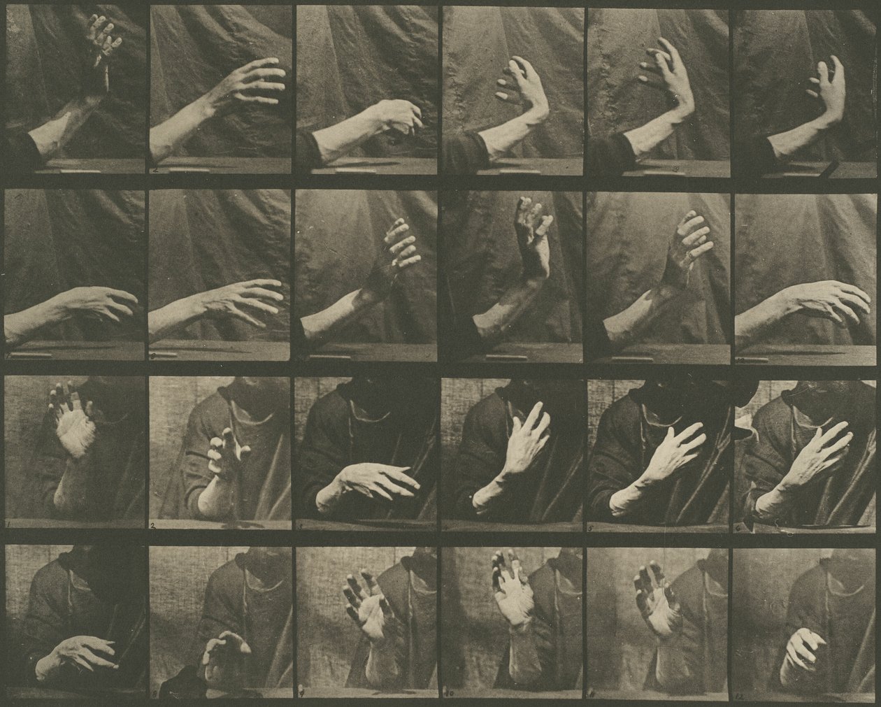  by Eadweard Muybridge