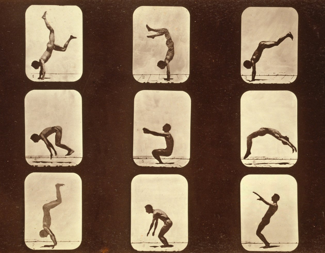 Sporcular Flip flap 