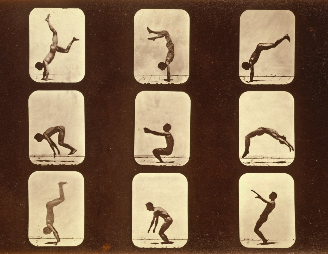 Sporcular 'Hayvan Hareketi' serisinden düzensiz, c.1881 by Eadweard Muybridge
